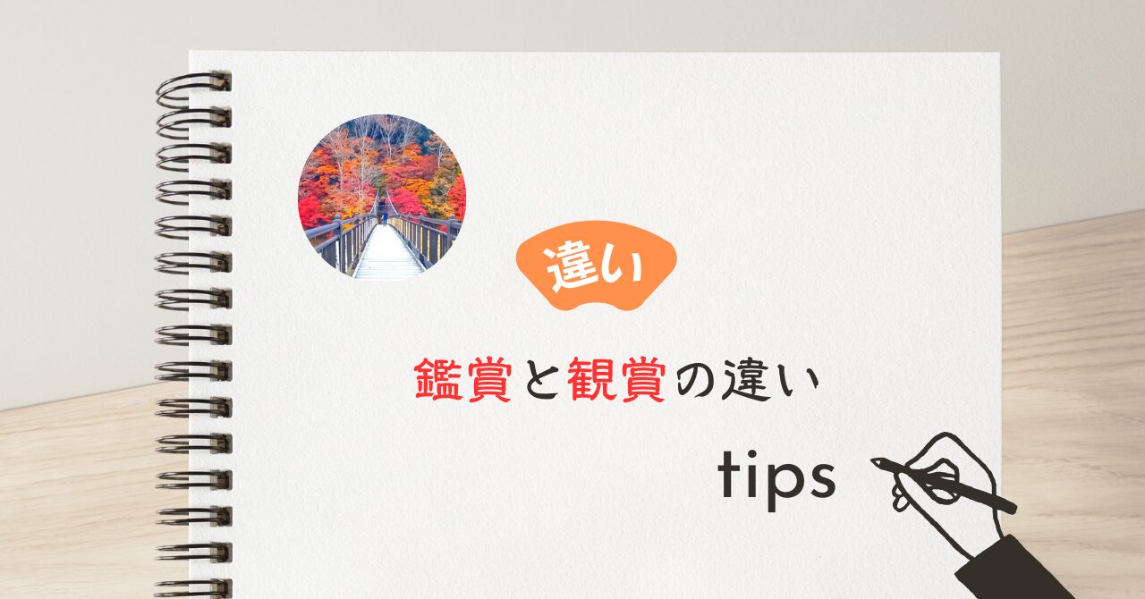 鑑賞と観賞の違い