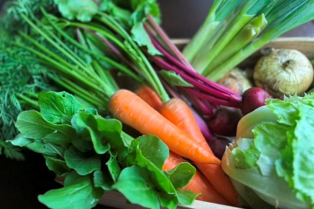無農薬野菜の定義