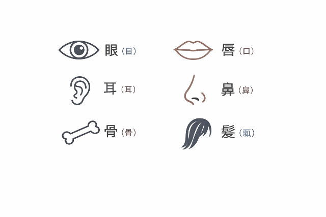 体に関する漢字の特徴