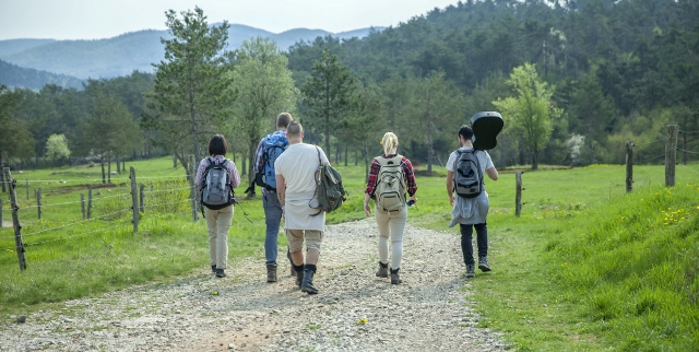 ハイキングの定義