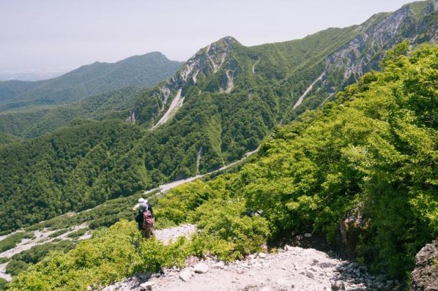 トレッキングの定義