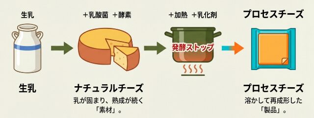 ナチュラルチーズのとプロセスチーズの製造工程の違い