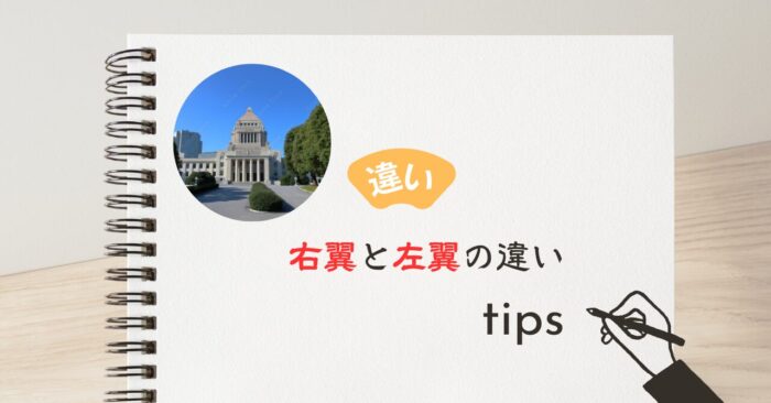 右翼と左翼の違いをわかりやすく解説！どっちがどっちか一目でわかる比較表と3つの判定基準