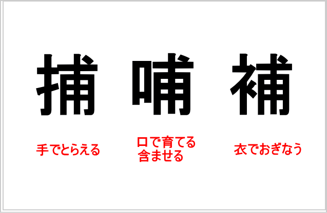 「捕・哺・補の部首の違いを色分けして示した比較図