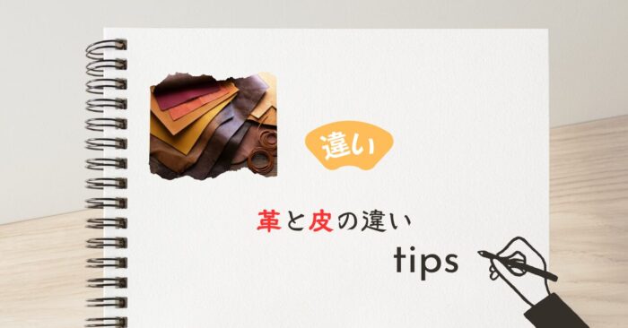 皮と革の違いとは？漢字の使い分けや「なめし」の工程を5分で理解できる専門ガイド