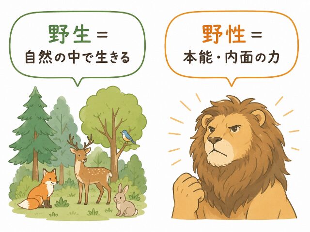 野生は自然環境、野性は本能的な性質を示すことを図解したイラスト
