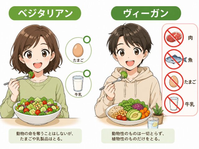 ベジタリアンとヴィーガンの違いを比較したシンプルな図解イラスト。ベジタリアンは卵や乳製品を含み、ヴィーガンはすべての動物性食品を避ける厳格な違いを表現しています。(AI生成画像)