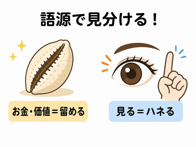 漢字の貝と見の見分け方として、貝は「お金・価値＝留める」、見は「見る＝ハネる」という語源の違いを解説した図解。画像内に「語源で見分ける！」「お金・価値＝留める」「見る＝ハネる」の日本語テキスト。AI生成画像