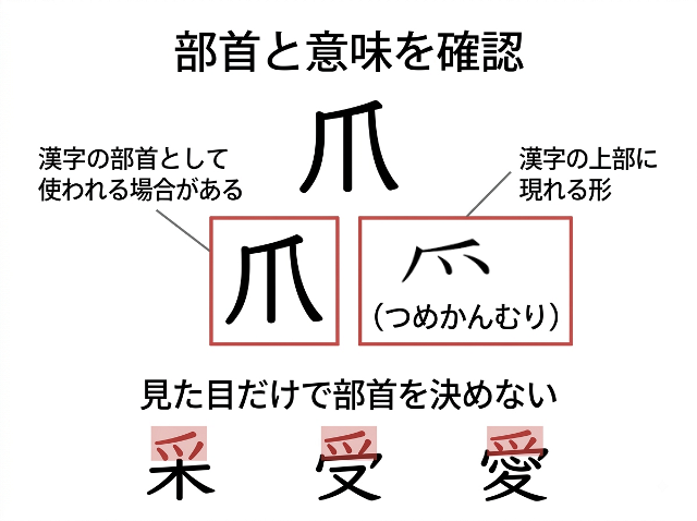 「爪」と「爫（つめかんむり）」の形と部首の違いを示し、「見た目だけで部首を決めない」と説明する図解。(AI生成画像)
