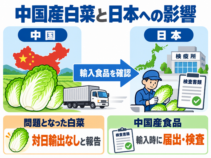 中国産白菜の日本への輸入と検査の流れ。「問題となった白菜は対日輸出なしと報告」「中国産食品は輸入時に届出・検査」と表示。AI生成画像